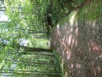 IMG_5367.JPG