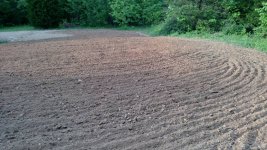 IMG_20170430_185413098.jpg