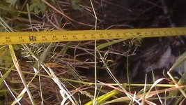 S2320041.JPG