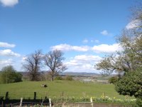 IMG_20170402_141109.jpg