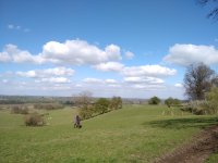 IMG_20170402_151541.jpg