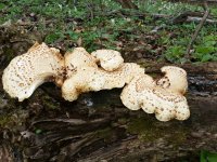 IMG_20170416_103452.jpg