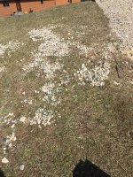 2017-04-01 11.23.18.jpg