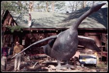 ducttapegoose.jpg