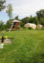 20170723_092728 (912x1280).jpg