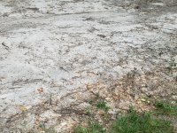 20170510_115035.jpg