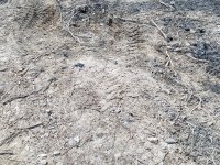 20170510_115135.jpg