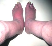 2 FEET.jpg