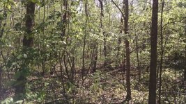 IMG_20170509_160707015 (Large).jpg