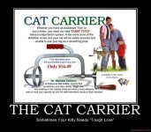 cat carrier.jpg