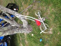 IMG_0291.JPG