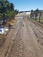 20170405_120232.jpg