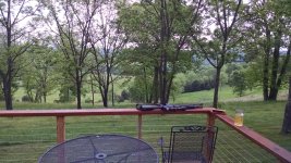 IMG_20160427_175341673 (Large).jpg