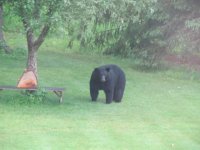 IMG_1396.JPG