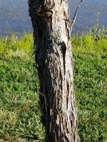 20170620_180941.jpg