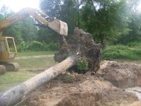 6-18-17 Stump .vs 48 Inch Bucket.jpg