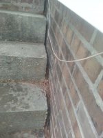 20170418_162348.jpeg 20170418_162348.jpeg