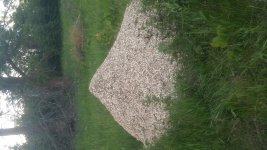 20170612_204848.jpg