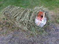 20170623_190708.jpg