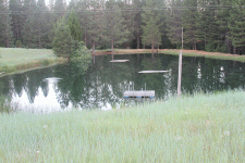 PondFloatingPlants3.gif