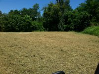 20170625_123449.jpg