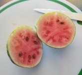 20171008_122257.jpg