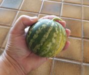 20171008_122146.jpg
