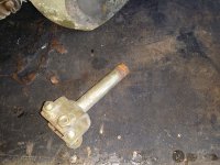 IMG_20170802_112844.jpg