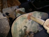 IMG_20170802_112951.jpg