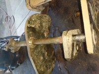 IMG_20170802_113006.jpg