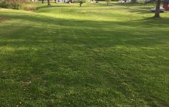 IMG_7377.JPG