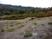 IMG_20171007_190144.jpg