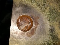 IMG_20170802_115950.jpg