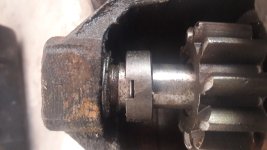 20170517_161356.jpg