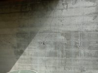 April 22-17 concrete 004.jpg