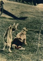 GoatBoy.jpg