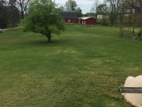 IMG_7412.JPG
