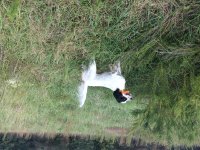 IMG_0021.JPG
