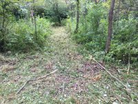 IMG_3996.JPG