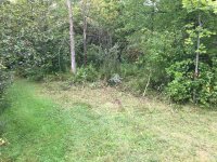 IMG_3998.JPG
