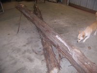 5-20-17 Second Watergate's Posts.jpg