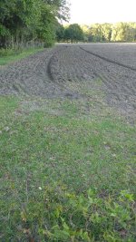 IMG_20170426_184555213.jpg
