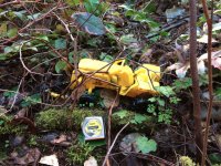 yellowtractor.JPG yellowtractor.JPG