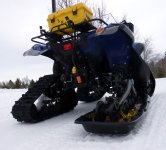Griz resque.a.jpg