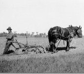 old-plow-e1302097371147.jpg