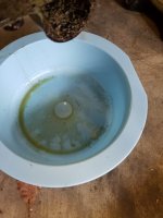drip pan.jpg drip pan.jpg