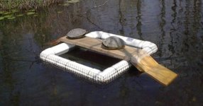 turtle-trap.jpg