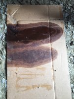 Oil Drip.jpeg