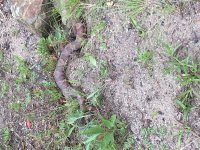 IMG_3260.JPG