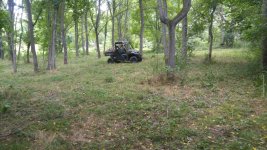 0805171328a.jpg